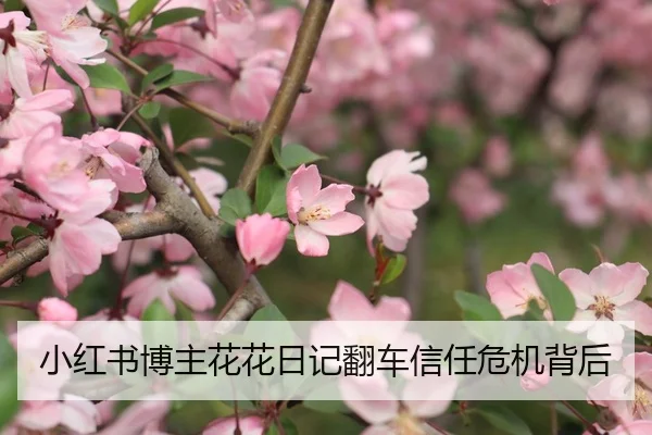 小红书博主花花日记翻车信任危机背后